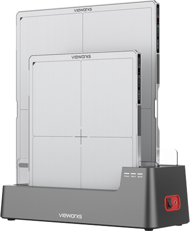 IP67 Dust and Water Resistance in Egypt